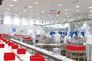 上海新庆包装公司：现代化包装企业